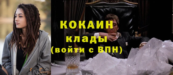 ПСИЛОЦИБИНОВЫЕ ГРИБЫ Горняк