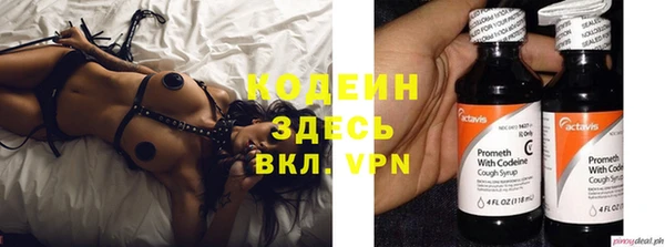 мяу мяу мука Горно-Алтайск