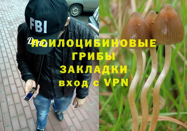 ПСИЛОЦИБИНОВЫЕ ГРИБЫ Горняк