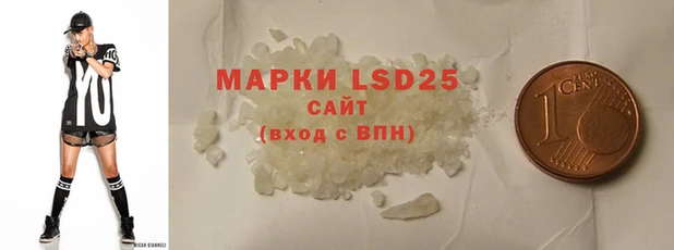 ПСИЛОЦИБИНОВЫЕ ГРИБЫ Горняк