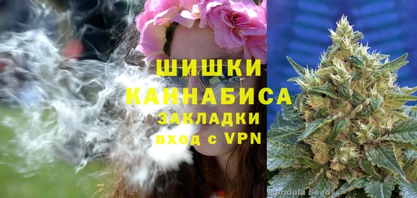 мяу мяу мука Горно-Алтайск