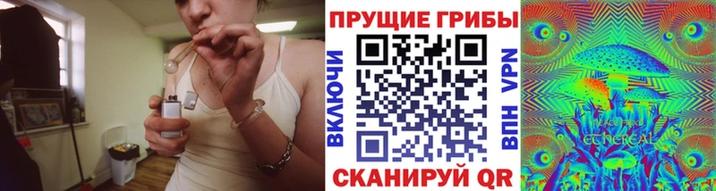 Псилоцибиновые грибы мухоморы  купить наркоту  Якутск 